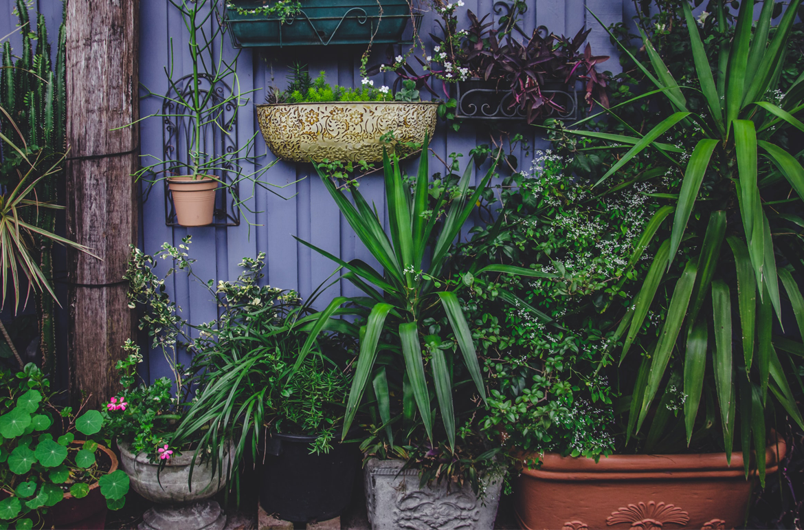 tuin met planten kleurige achtergrond